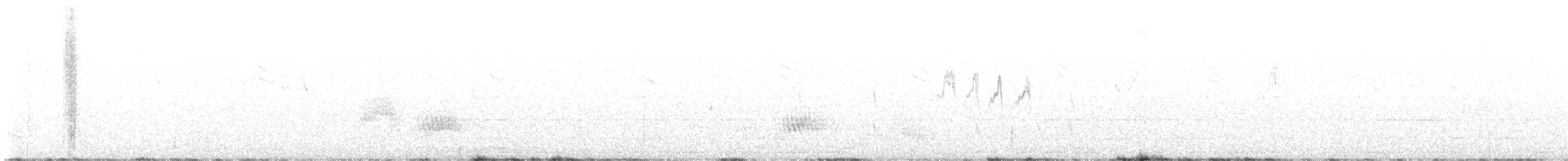 Chocard à bec jaune - ML640519027