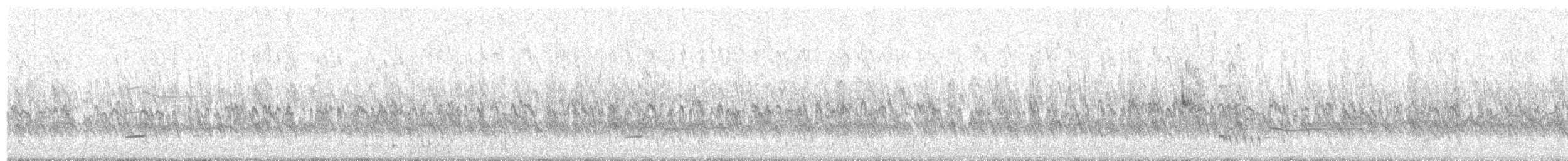 Bécasseau d'Alaska - ML640519165