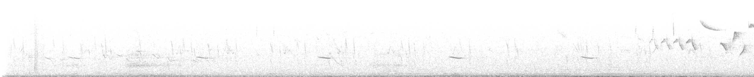 hýl obecný - ML640519166