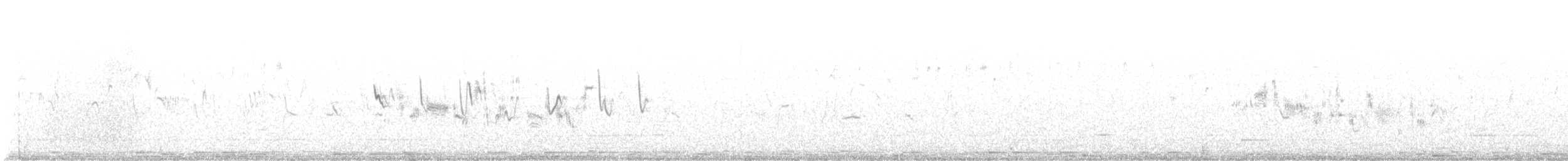 Шөвгөр зэржгэнэ - ML640519226