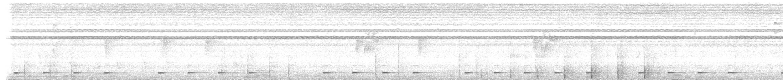 Yellow-rumped Tinkerbird - ML640520397