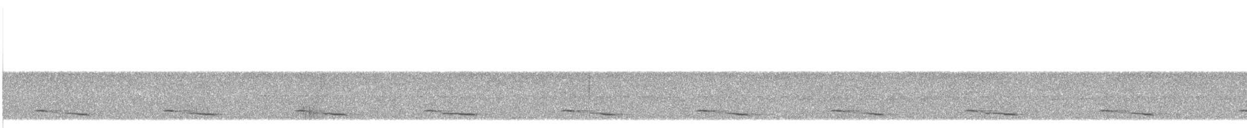 barbet velký - ML640521134