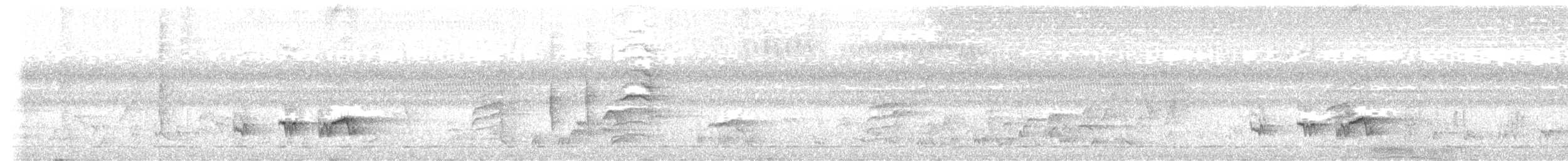 Red-tailed Bristlebill - ML640521211