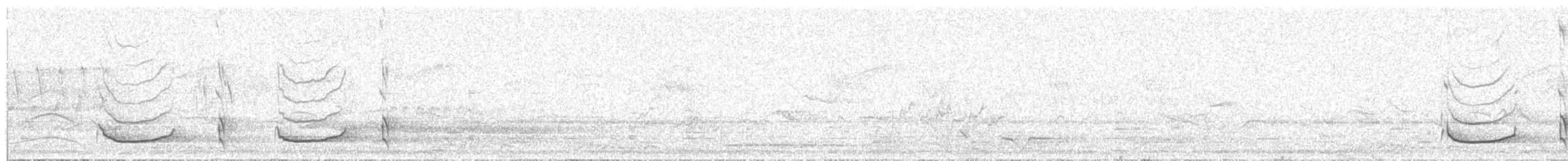 White-rumped Falcon - ML640521226