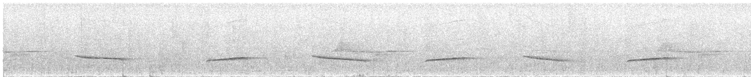 Stutzschwanzdrossling - ML640522645