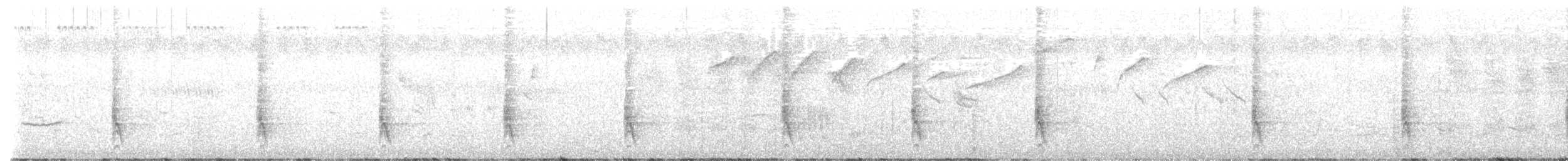 Northern Puffback - ML640523045