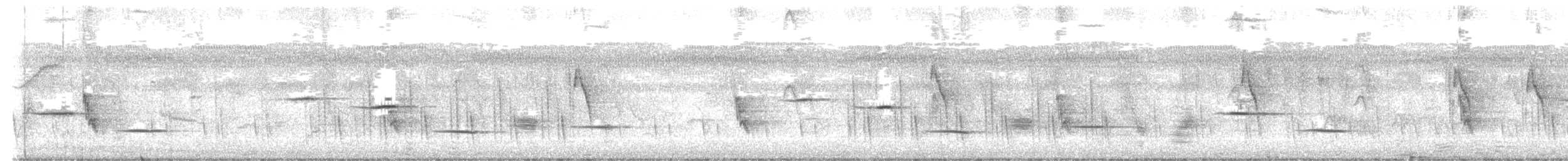 hvitvingepløsøye - ML640523189