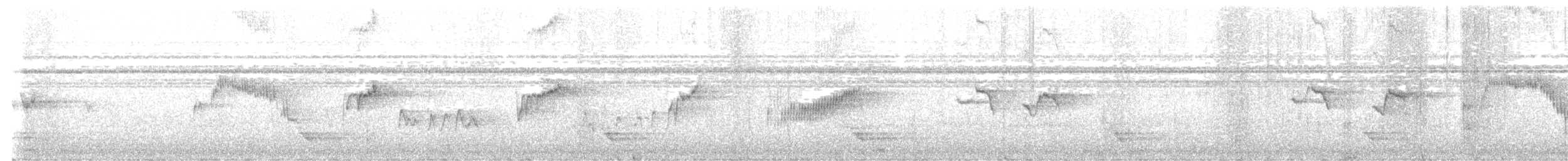 Buztanikara argia - ML640523300