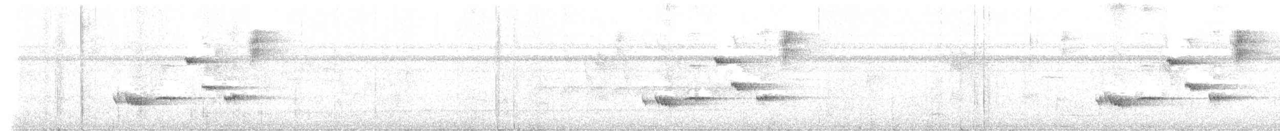 Abyssinian Ground-Thrush