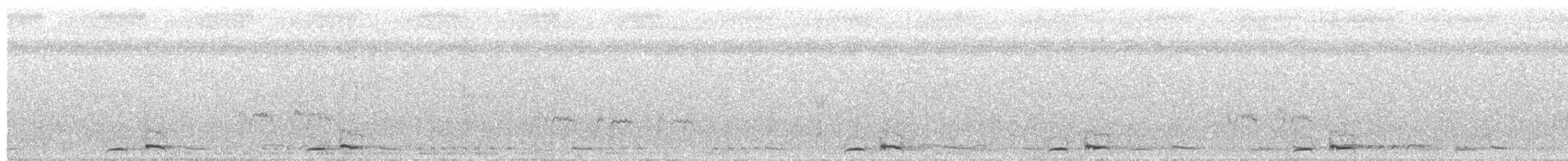 barbet čárkovaný - ML640523481