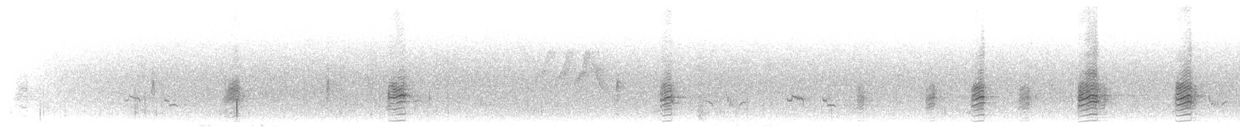 Alzavola - ML640524814