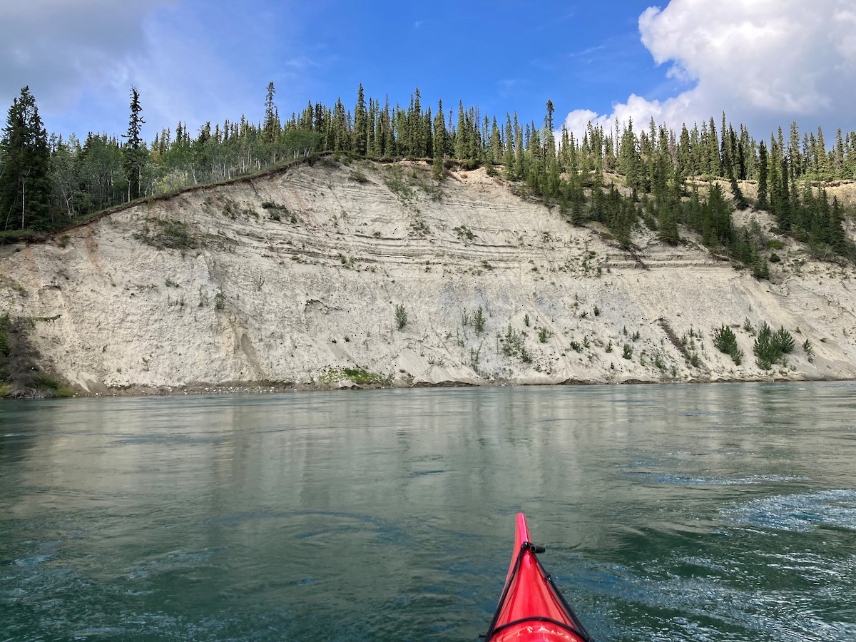 Bank Swallow - ML640525111