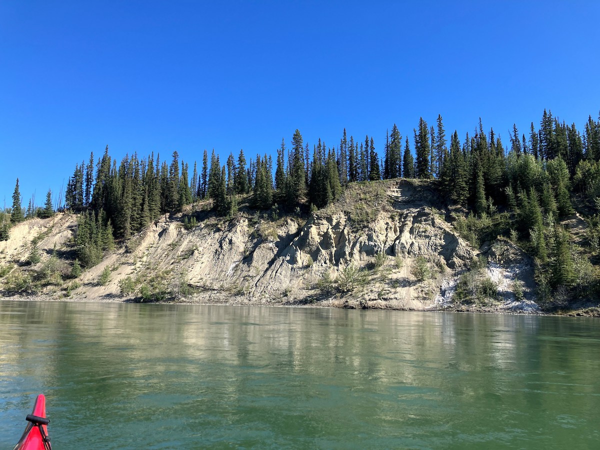 Bank Swallow - ML640528133