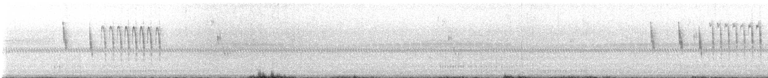 Sedge Wren - ML640528771