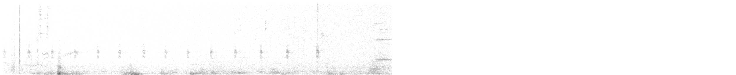 chřástal australasijský - ML640529455