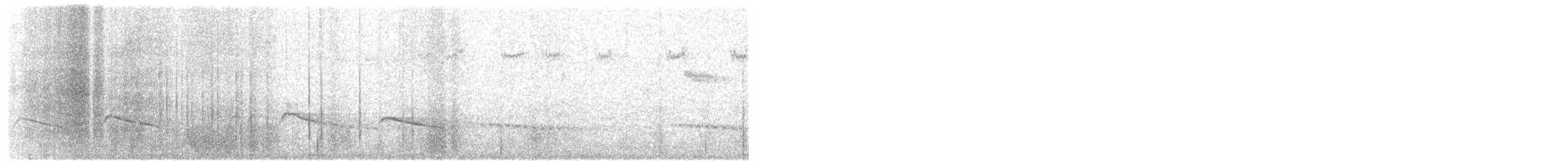 ヨコジマテリカッコウ - ML640529829