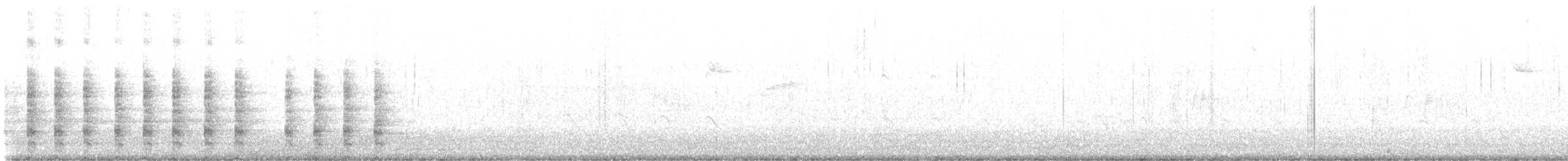 chřástal atlantický - ML640530596