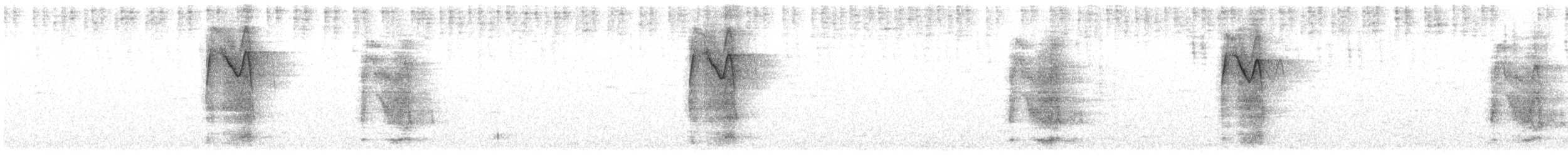 Tawny Owl - ML640531406