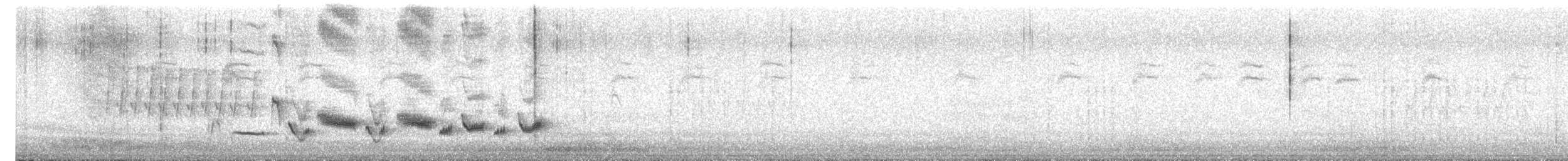 Western Orphean Warbler - ML640531890