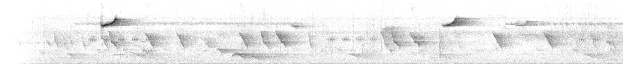 Dicée des Célèbes (kuehni) - ML640533170