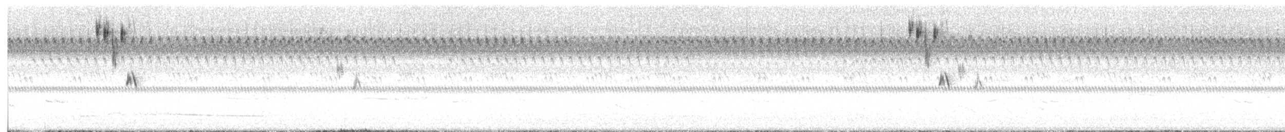 Henslow's Sparrow - ML640533437