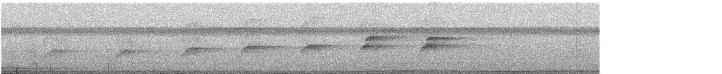 Orange-eyed Flatbill - ML640534453