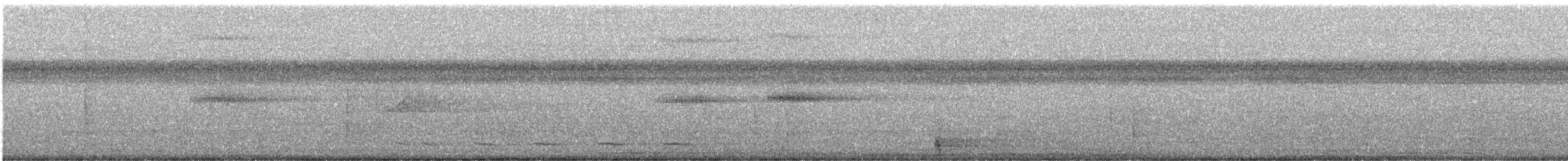 korthaleknøttyrann - ML640534605