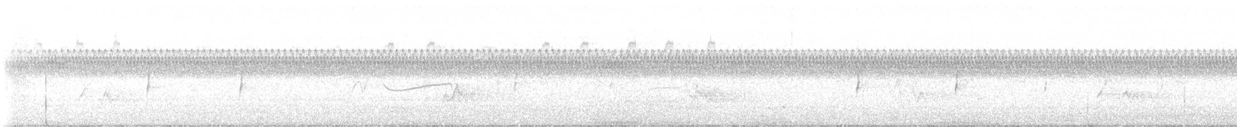 Least Flycatcher - ML640534723