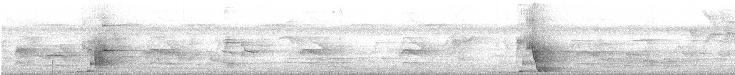 セアカオオツリスドリ - ML640537049