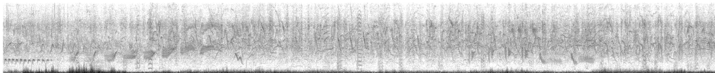 マミジロマネシツグミ - ML640538434