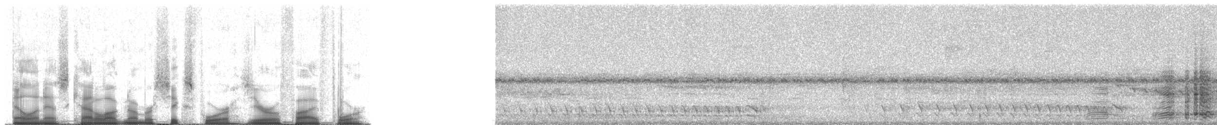 Краснохвостая чачалака (ruficauda) - ML64054