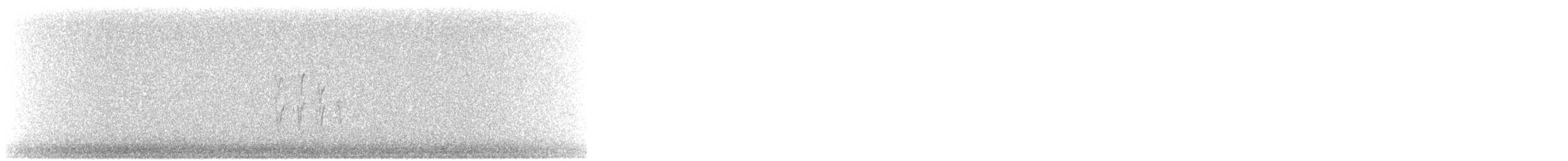 Calidris sp. - ML640542129