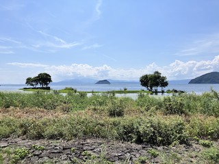 長浜市--琵琶湖--湖北水鳥公園 (Nagahama--Lake Biwa--Kohoku