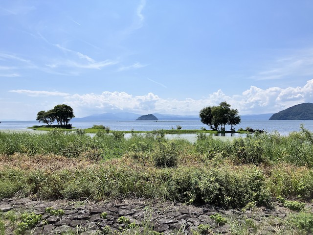 長浜市--琵琶湖--湖北水鳥公園 (Nagahama--Lake Biwa--Kohoku