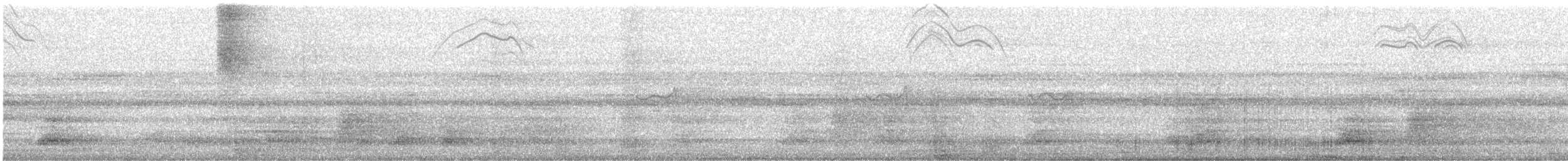 セアカオオツリスドリ - ML640545226