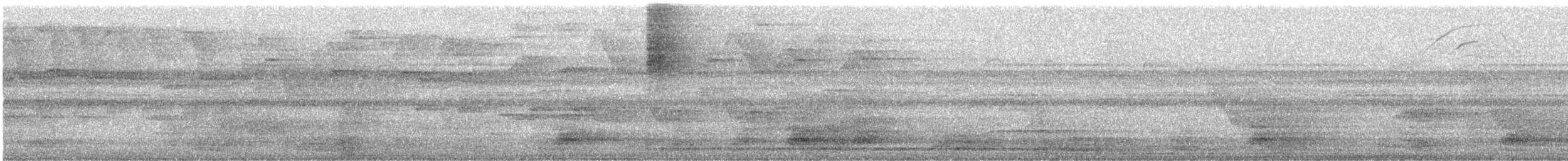 セアカオオツリスドリ - ML640545227