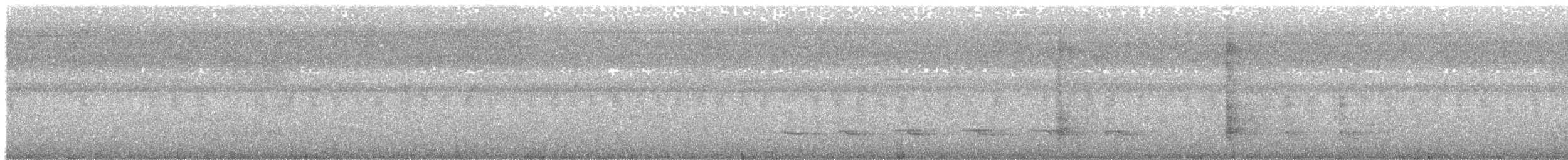 White-shouldered Antbird - ML640546225