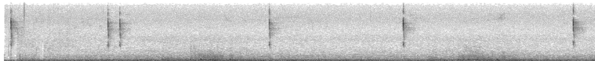 Pacific Wren - ML640546381