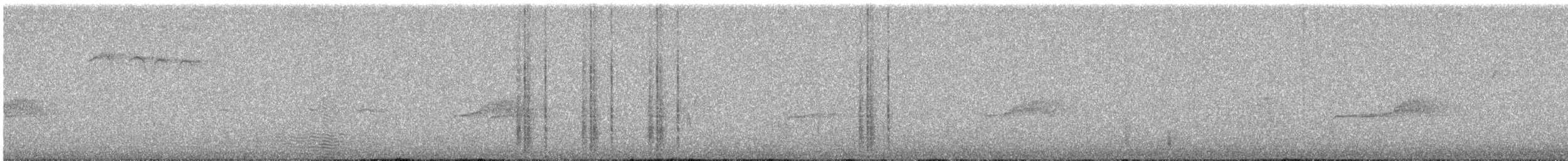 Western Wood-Pewee - ML640547104