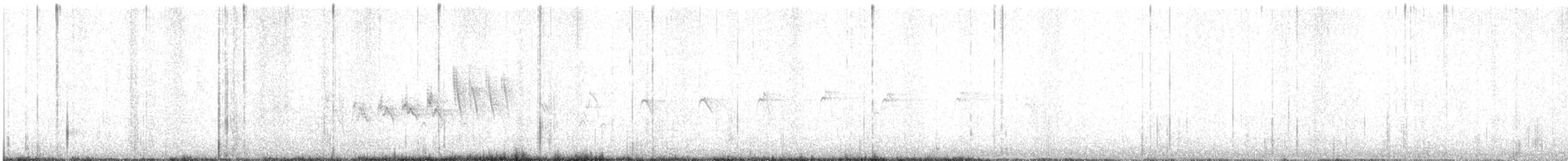 Grace's Warbler - ML640547756