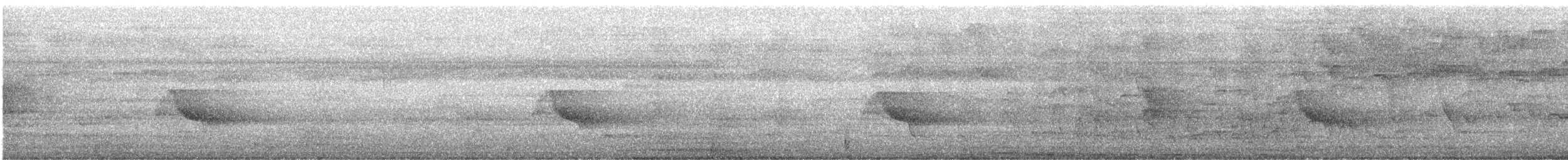 ハシグロムジツグミ - ML640548064