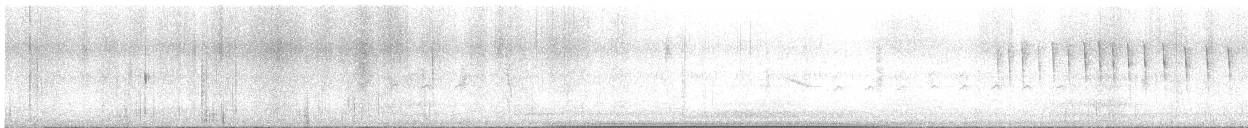 Gila Woodpecker - ML640549661