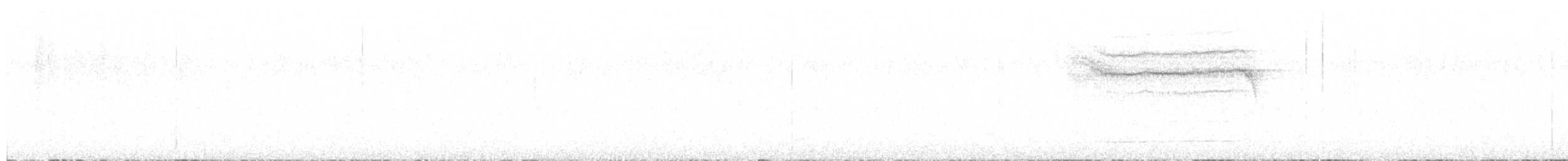 Spotted Owl (Mexican) - ML640550684