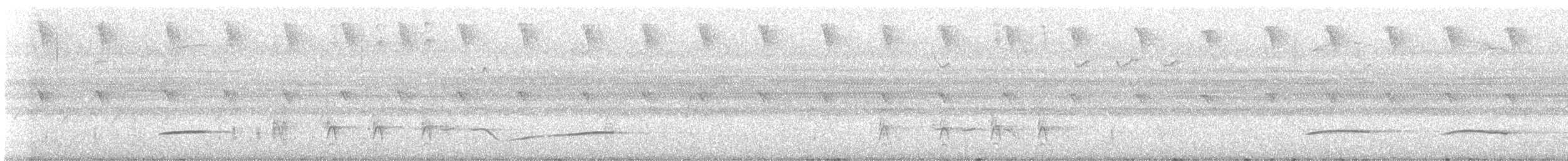 drongo šedobřichý - ML640550850