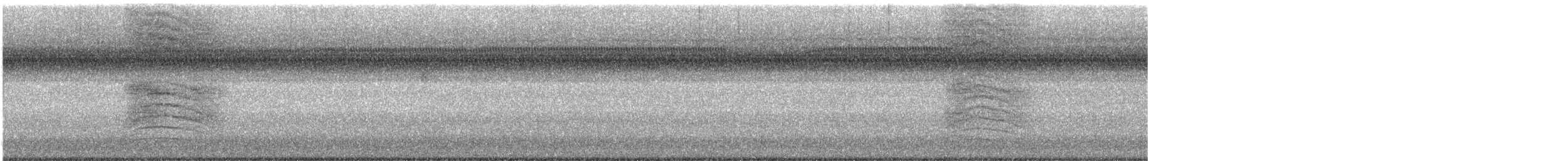 Pájaro Gato Gris - ML640551035
