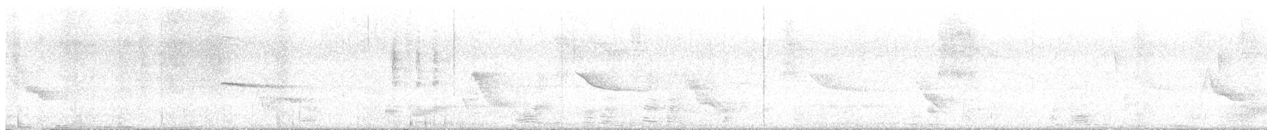 Lesser Goldfinch - ML640551578