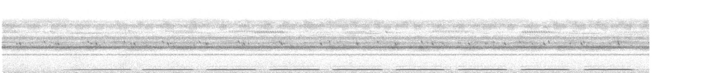 Podarge ocellé (groupe ocellatus) - ML640555104