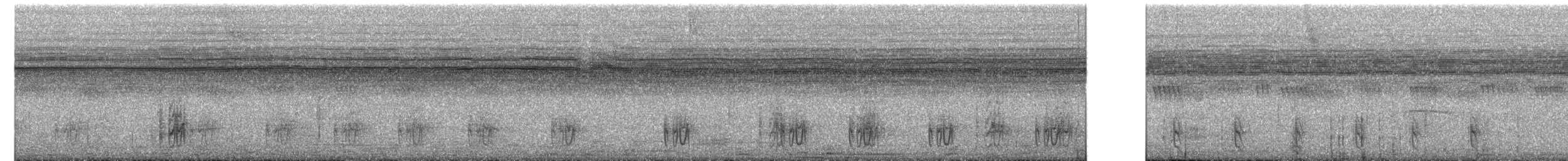 Grisin de Cayenne - ML640556678