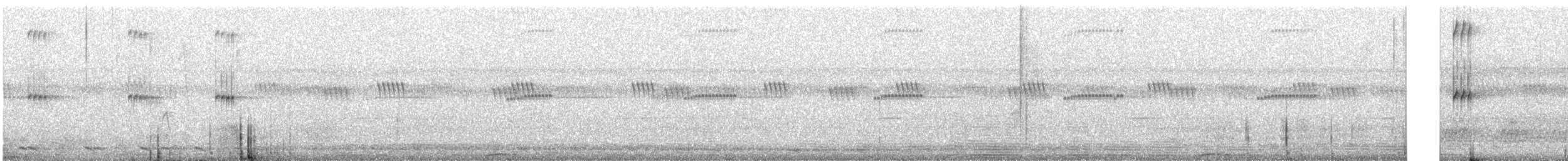 korthaleknøttyrann - ML640557370