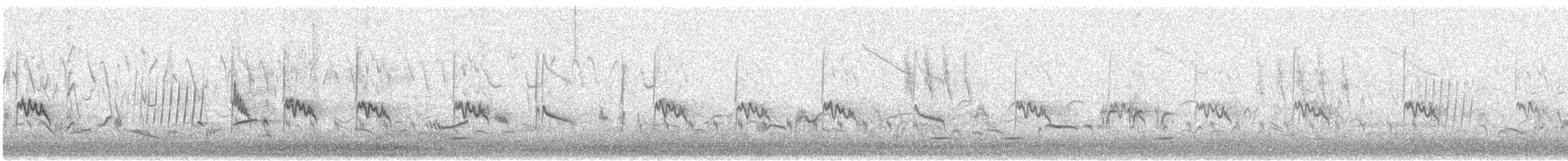 Cape White-eye (Cape) - ML640558430
